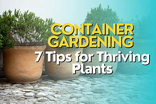 Container tips
