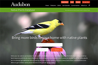 Audubon Search