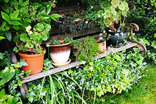 Bench Pots