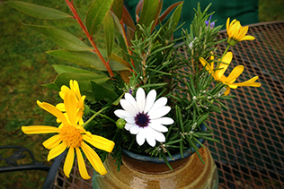 Daisy Vase