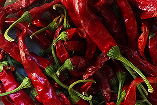 Hot Sauce Peppers