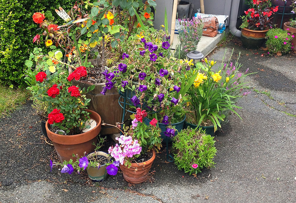 Front Porch flowerpots