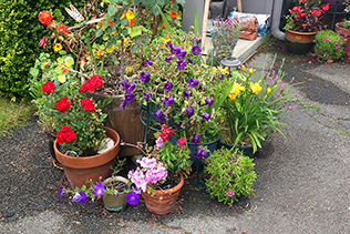 June Porch