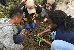 Kids Gardening