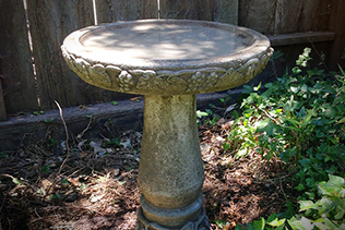 New Birdbath