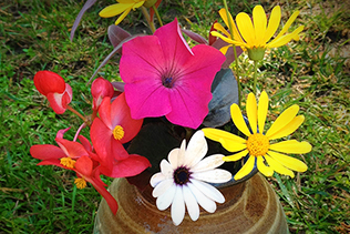 October Bouquet