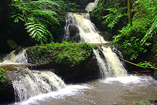 Onomea Falls