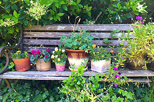 Pots On Bench