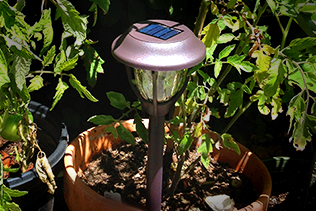 Solar Light