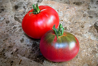 Two Tomatoes