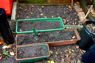 vegetable patch