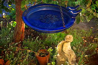 Birdbath